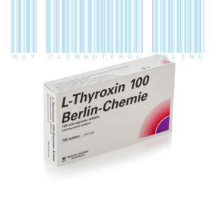 T4_LEVOThyroxine_online